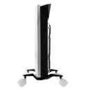 Конвектор Royal Thermo RCHC/E-1000 (НС-1633910) 