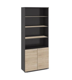 Шкаф для документов с нишей и 2-мя дверями (Венге Цаво, Дуб Сонома ) Успех-2 ПМ-184.16