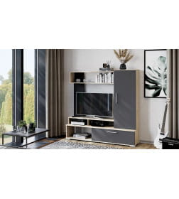 Набор мебели для общей комнаты Сиена (Дуб Сонома/Графит серый)