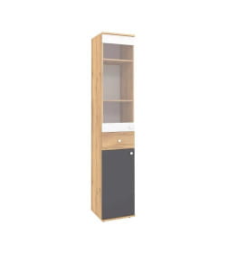 Шкаф МЦН Дуб золотистый-Белый-Графит Лойс 82 