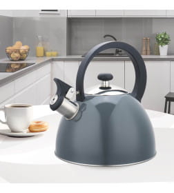 Чайник 2,5 л со свистком, нержавеющая сталь MR-1302-GREY Maestro