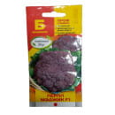 Капуста брокколи Перпл Мэджик семена