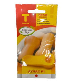 Тыква Атлас F1, 5 шт семена