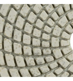 Алмазный гибкий шлифовальный круг DLT №1, #50, 100мм.