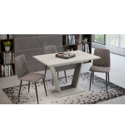 Стол обеденный Тип 1 (Дуб крафт белый/Серый графит) Гавана 