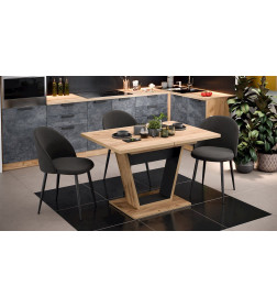 Стол обеденный Тип 1 (Дуб крафт золотой/Черный) Гавана