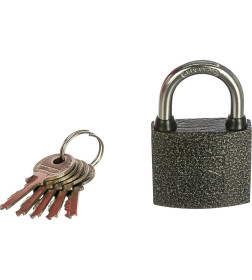 Замок навесной АЛЛЮР ВС1Ч-340  d5мм полимер