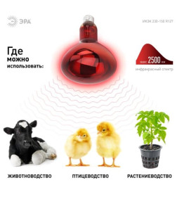 Инфракрасная лампа для обогрева животных и освещения 150 Вт ЭРА ИКЗК 230-150 R127