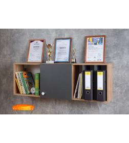 Шкаф навесной Дуб Золотистый / Графит Лойс 88 