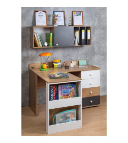 Шкаф навесной Дуб Золотистый / Графит Лойс 88 