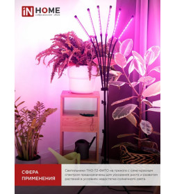 Светильник напольный на треноге светодиодный ТНО-Т2-ФИТО красно-синий 6Т60 60Вт 6 плафонов, пульт на шнуре IN HOME