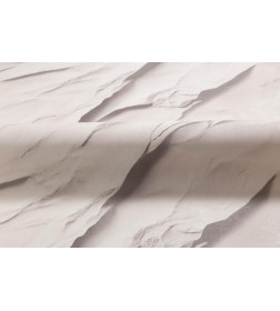 Обои Palitra Family Alberta FM72590-24