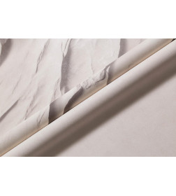 Обои Palitra Family Alberta FM72591-24