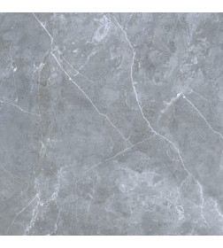 Керамогранит Petra northern silver 600х600х10 мм  GRS02-16 