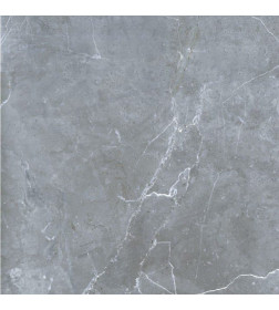 Керамогранит Petra northern silver 600х600х10 мм  GRS02-16 