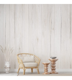 Панель МДФ STELLA Классик Дуб Санремо Белый 2700х200х6мм 