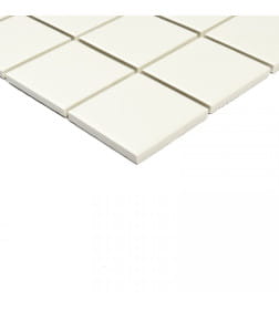 Мозаика Arene White 6*48*48 306*306