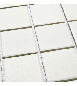 Мозаика Arene White 6*48*48 306*306