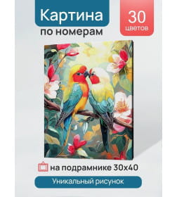 Холст с красками 30x40 см по номерам (30 цв.) Яркие попугаи-неразлучники арт. ХК-3231