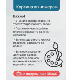 Холст с красками 30x40 см по номерам (30 цв.) Яркие попугаи-неразлучники арт. ХК-3231
