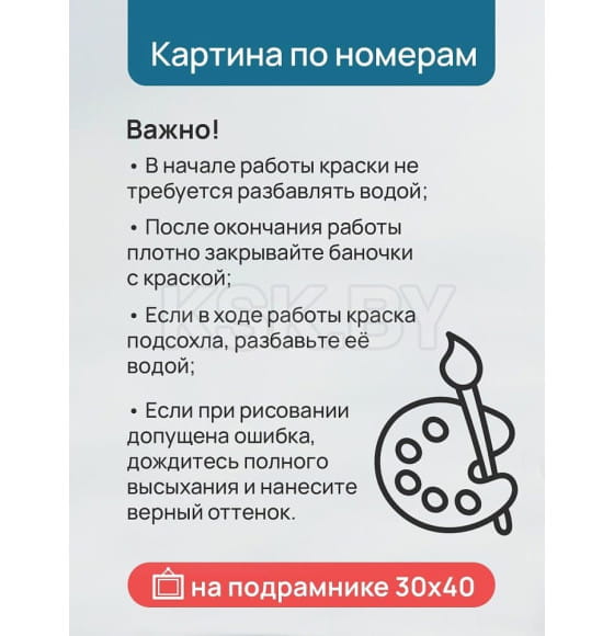 Холст с красками 30x40 см по номерам (30 цв.) Яркие попугаи-неразлучники арт. ХК-3231 (ХК-3231) 