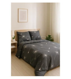 Комплект постельного белья "Евро"(п.225х215, пр.240х220, н.50х70-2шт.), арт.41262/0, (579201/581101 К 4810122668981)