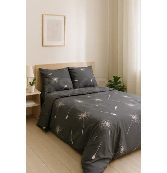 Комплект постельного белья "Евро"(п.225х215, пр.240х220, н.50х70-2шт.), арт.41262/0, (579201/581101 К 4810122668981) (41262/0) 