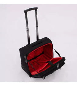 Чемодан на колесах Francesco Molinary 336-DL935-17BLK черный