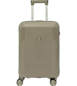 Чемодан на колесах Francesco Molinary 344-8038/3-20GGN серый/зеленый