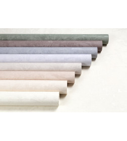 Обои HomeColor Friburg HC72440-88