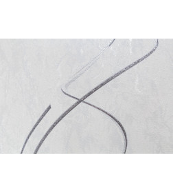 Обои Palitra Protect-Tornado HC11066-11a