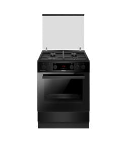 Плита газоэлектрическая Hansa FCMM69329