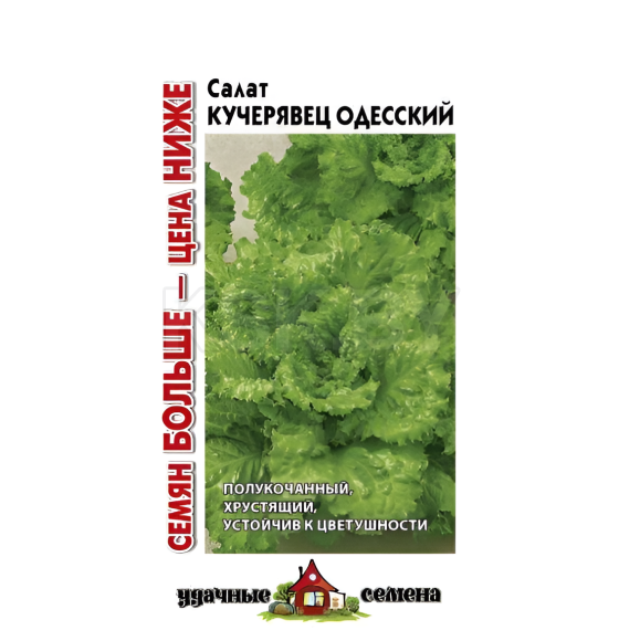Салат Кучерявец Одесский 1,0 г хрустящий 
