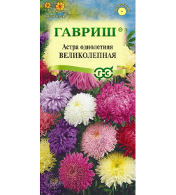 Астра Великолепная, однолетняя ( махровая смесь) 0,3 г