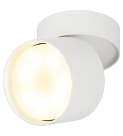 Светильник настенно-потолочный спот под лампу GX53 белый ЭРА OL12 GX53 SWH