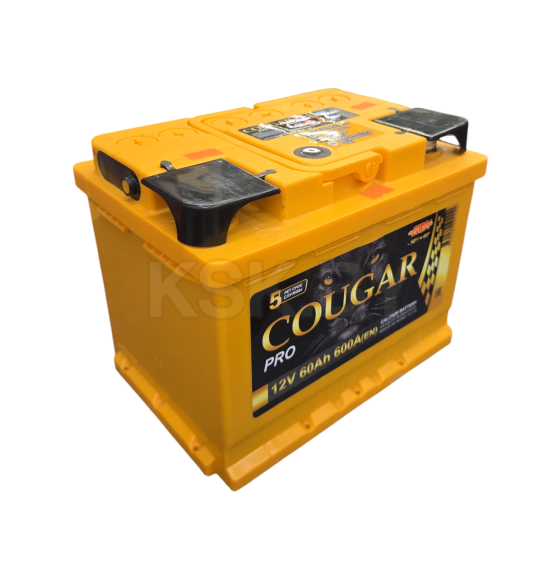 Аккумулятор COUGAR PRO 60 Ач о.п. R+