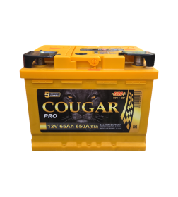 Аккумулятор COUGAR PRO 65 Ач о.п. R+