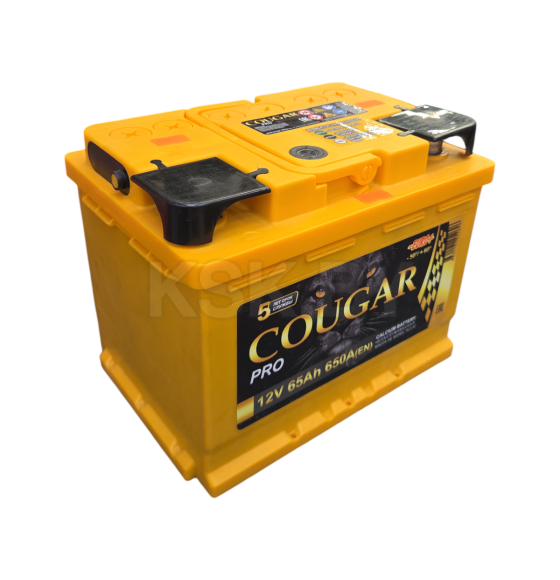 Аккумулятор COUGAR PRO 65 Ач о.п. R+