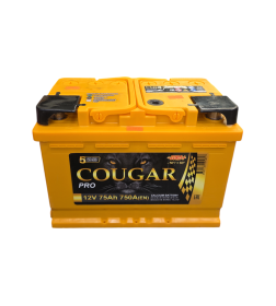 Аккумулятор COUGAR PRO 75 Ач о.п. R+