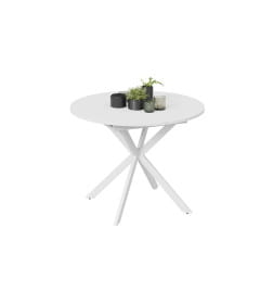 Стол обеденный раздвижной Мэдисон Тип 1 Белый муар/Белый