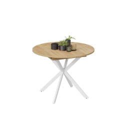 Стол обеденный раздвижной Мэдисон Тип 1 Белый муар/Дуб Крафт золотой