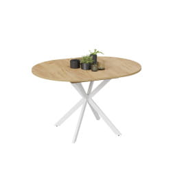 Стол обеденный раздвижной Мэдисон Тип 1 Белый муар/Дуб Крафт золотой