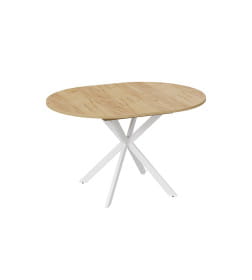 Стол обеденный раздвижной Мэдисон Тип 1 Белый муар/Дуб Крафт золотой