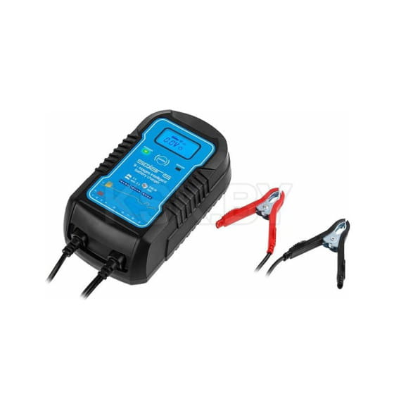 Зарядное устройство Solaris CH-81 Digital (CH81D011) 