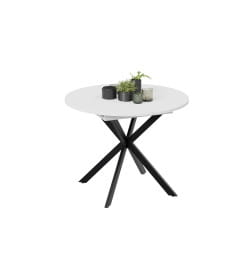 Стол обеденный раздвижной Мэдисон Тип 1 Черный муар/Белый