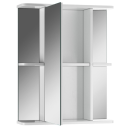 Шкаф- зеркало Айсберг Норма 2-55 см.левый  DA1609HZ (DA1609HZ) 