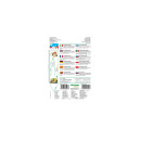 Дыня Сахарная семена 3 Franchi