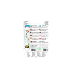 Дыня Сахарная семена 3 Franchi