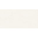 Керамогранит  глаз,матовый Berlin 600*1200x8.5, GFU60120BLN04R (GFU60120BLN04R) 