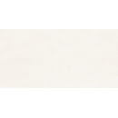 Керамогранит  глаз,матовый Berlin 600*1200x8.5, GFU60120BLN04R (GFU60120BLN04R) 